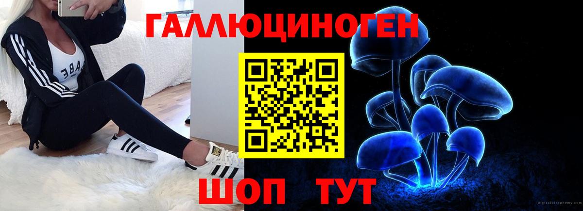 Назарово  Галлюциногенные грибы Psilocybe  Вход с VPN 
